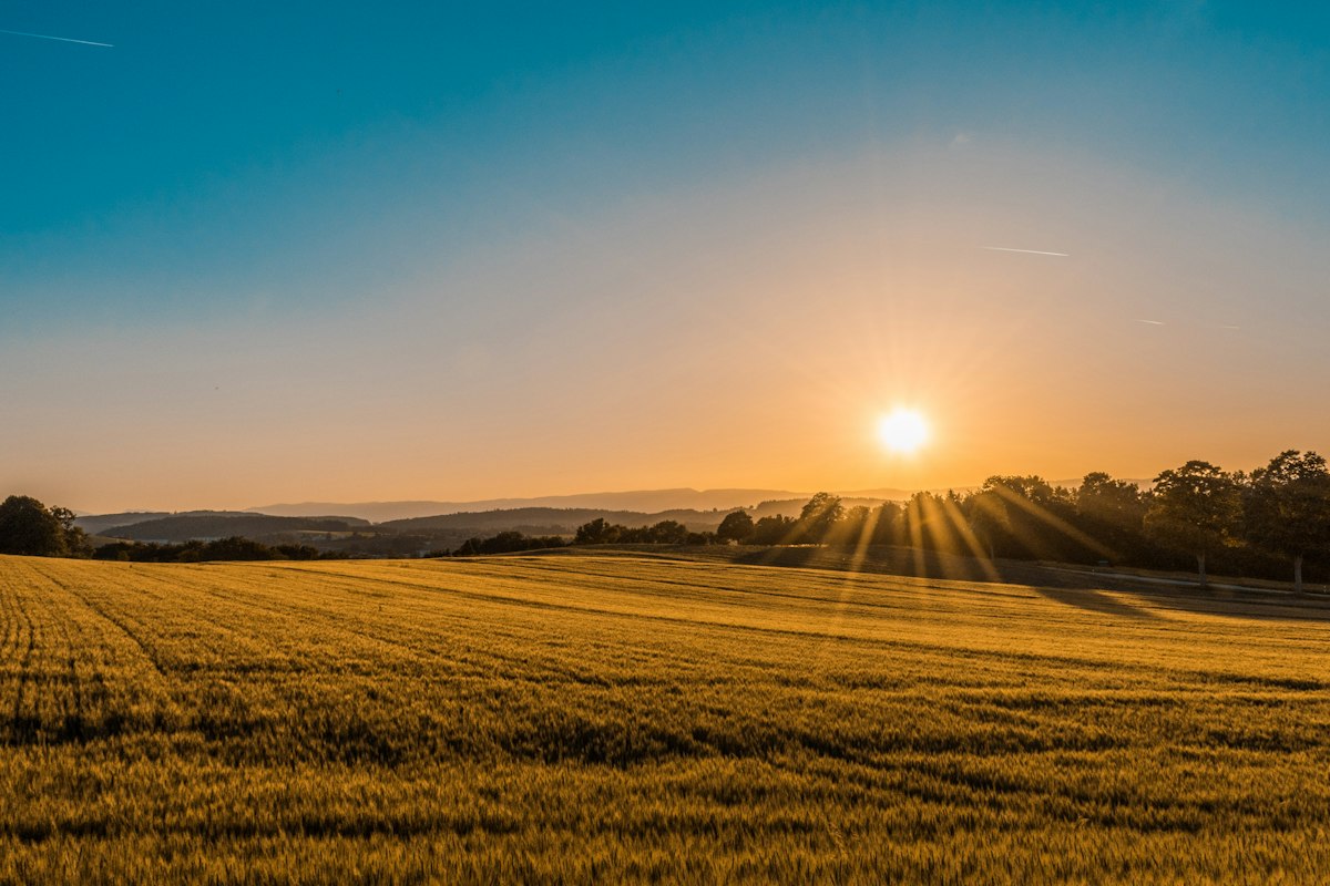 Prairie landscape