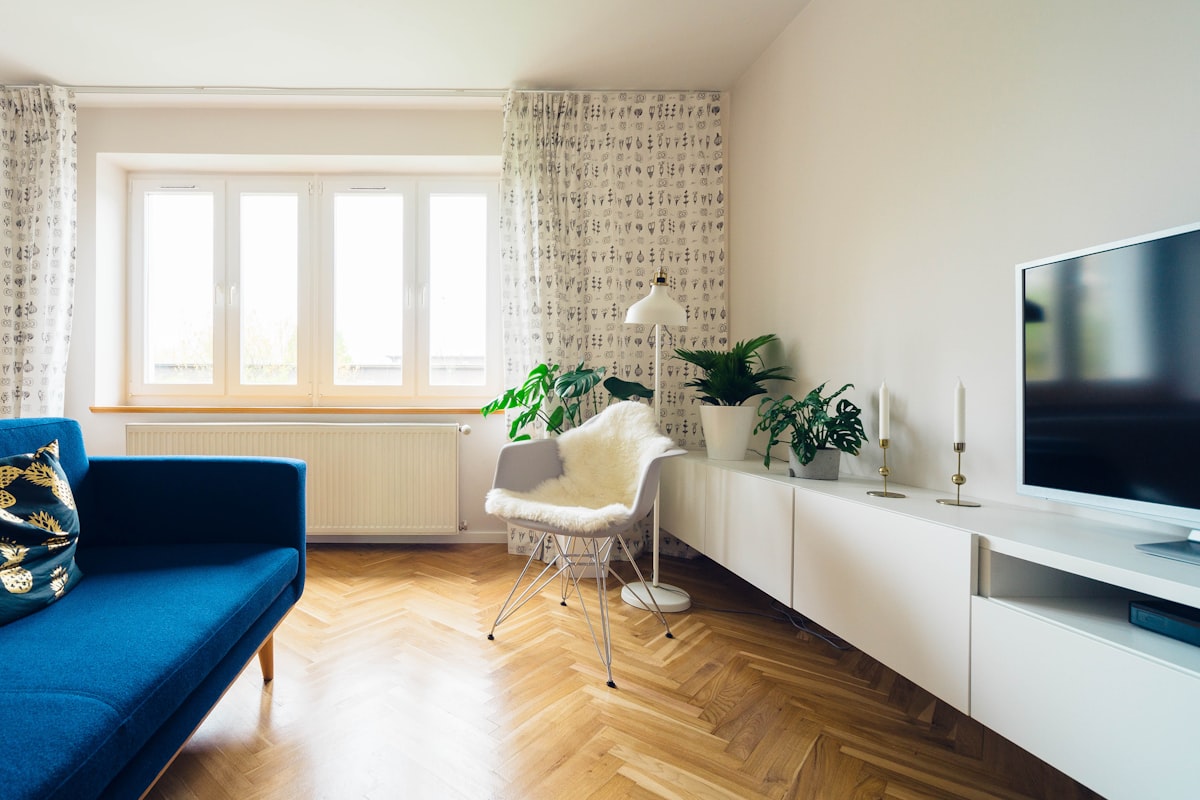 Apartment living area